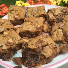 Gooey Gluten-free Reese's Blondies